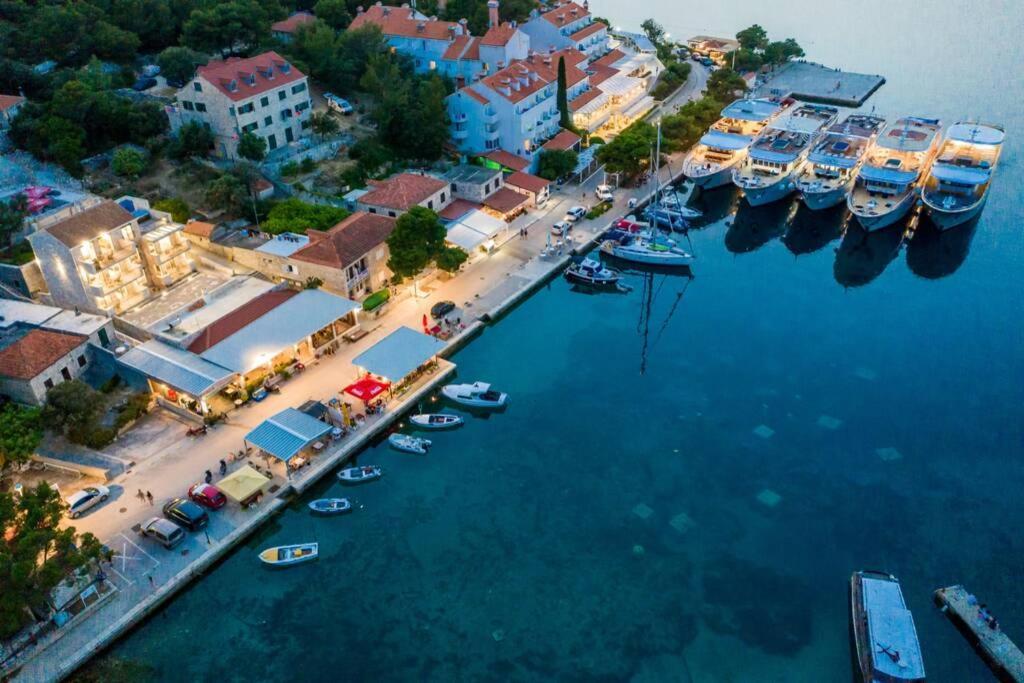 Corallium بومينا المظهر الخارجي الصورة